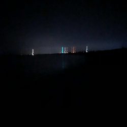 初めてのアオリイカ