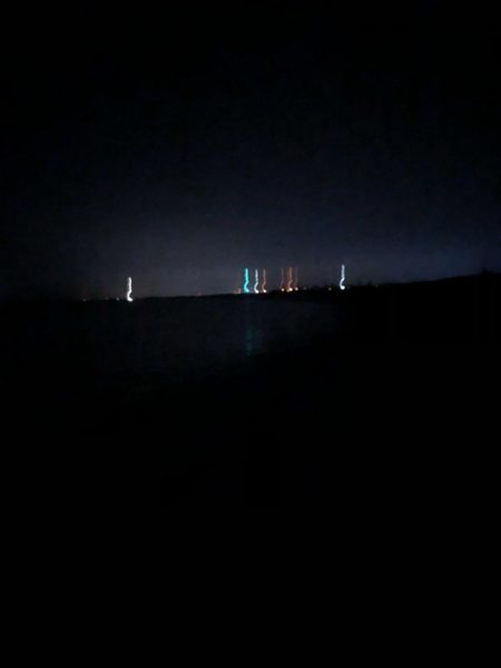 初めてのアオリイカ