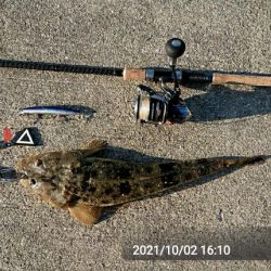 青物調査のハズが？(Vol 2)