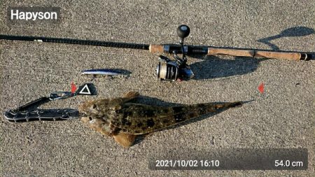 青物調査のハズが？(Vol 2)