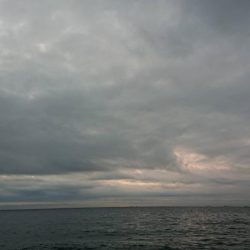 サーフゲームでヒラメ