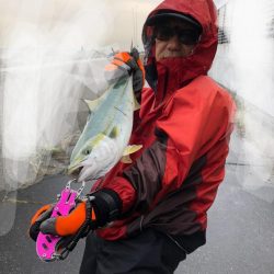 久しぶりの鰤属(^∇^)