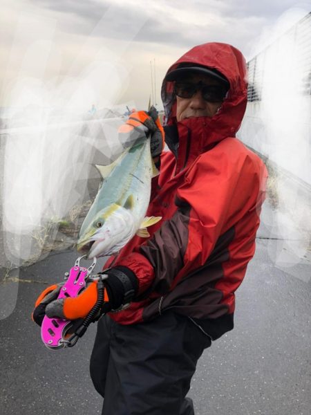 久しぶりの鰤属(^∇^)