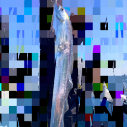 激シブ紀北ジギング