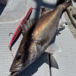 中深海スロージギング