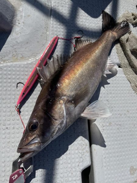 中深海スロージギング