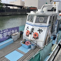 ちょっと渋めも、嬉しい1匹!