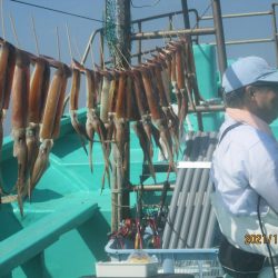 サバ・アジ　クーラー満タン(^_-)-☆　スルメイカ30杯