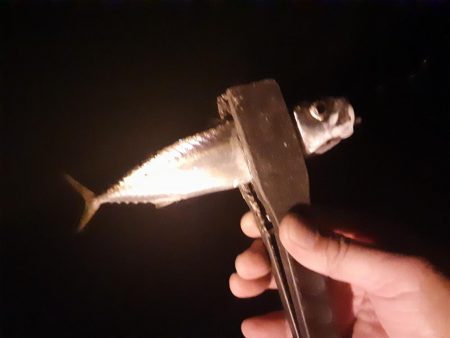 ライトゲーム49