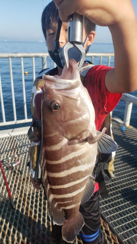 マハタとコウイカが釣れました❗…