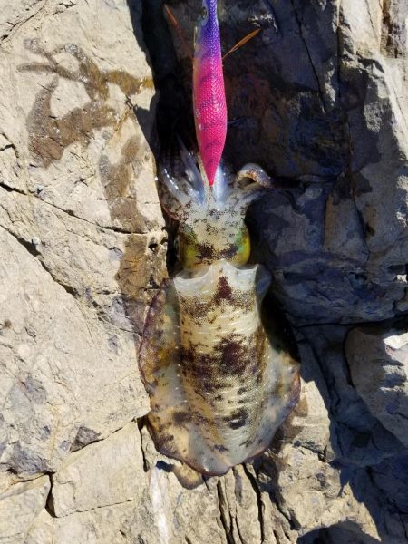 リベンジならず秋サイズ(..)