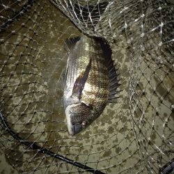 サイズが出ない１日でした