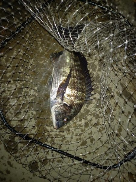 サイズが出ない１日でした