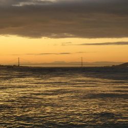 久しぶりの釣果