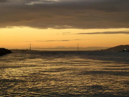 久しぶりの釣果