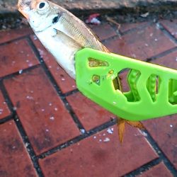 たまには親孝行