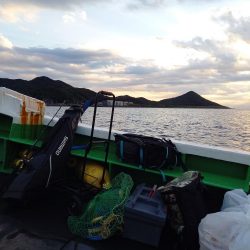 小浦一文字でシイラ釣り