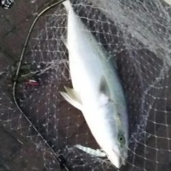 ブリリアントな１日