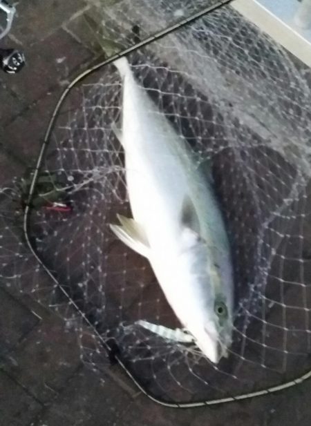 ブリリアントな１日