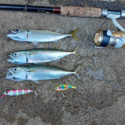 プチsalt water game