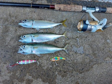 プチsalt water game