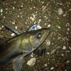 オープンエリアの明暗で