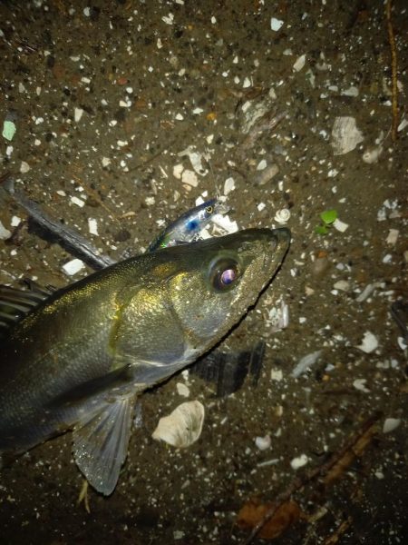 オープンエリアの明暗で