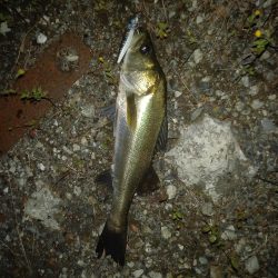 強風でラインコントロール出来ず