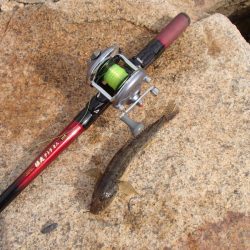 淀川 ハゼ 穴釣り