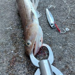 プチSalt water Game