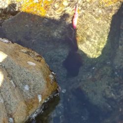 釣りよりも人命第一で