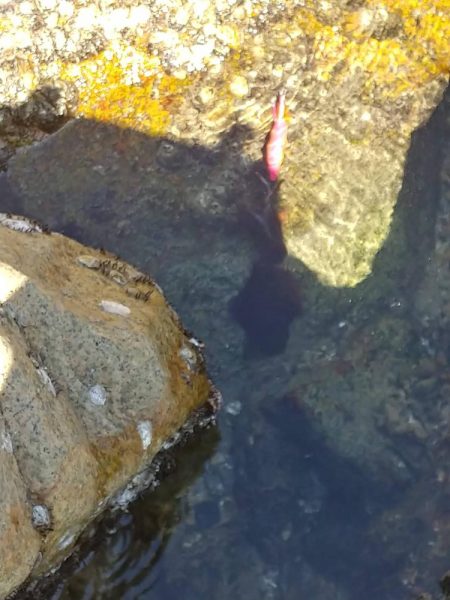 釣りよりも人命第一で