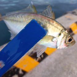 期待してなかったのに