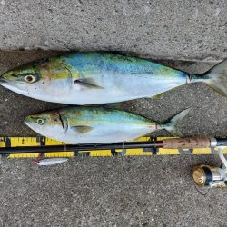 プチsalt water game