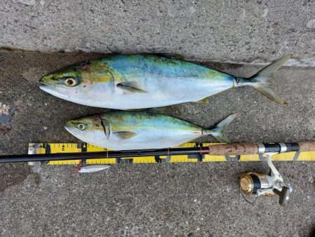 プチsalt water game