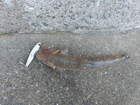 プチsalt water game