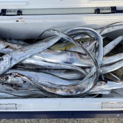 釣れてくれてありがとう