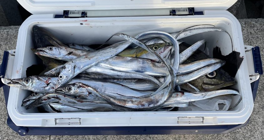 釣れてくれてありがとう