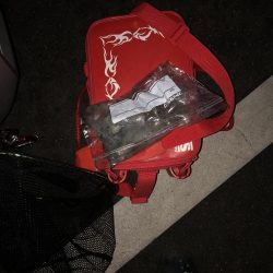 秋イカに遊んでもらいました