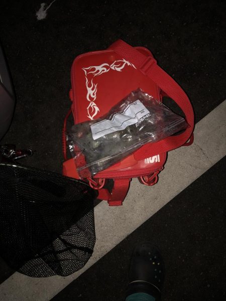 秋イカに遊んでもらいました