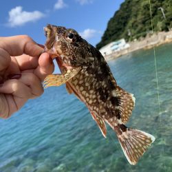 イカ狙いのはずが…