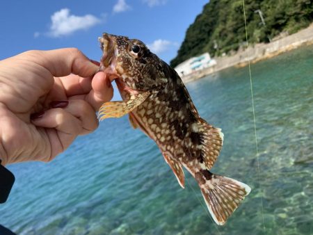 イカ狙いのはずが…