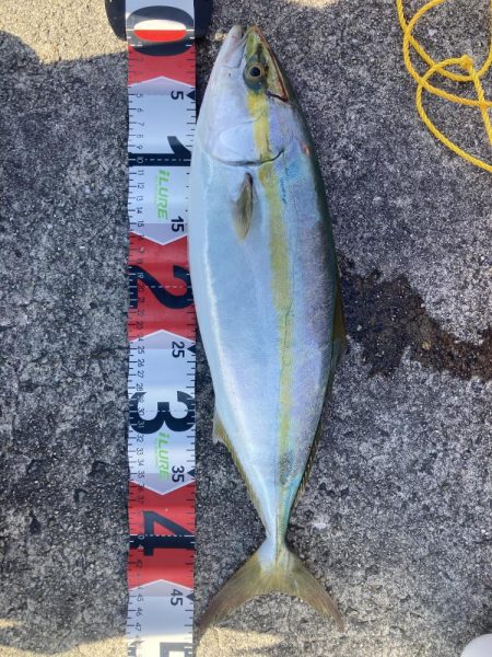 2021ライトゲーム第30戦