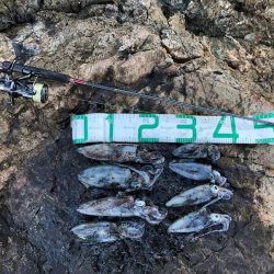 2021 佐渡ヶ島エギング 21回目