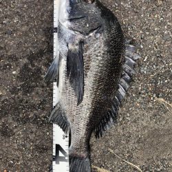 イチノ兄弟、釣果！