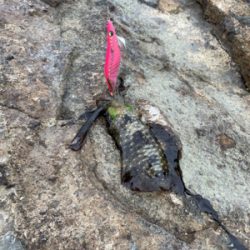 寒くなってきた