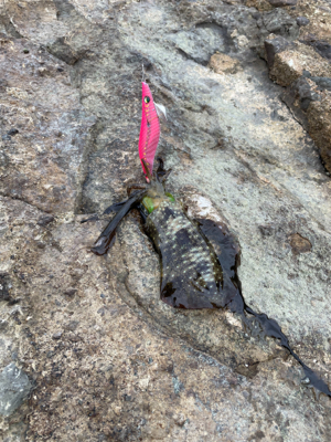 寒くなってきた