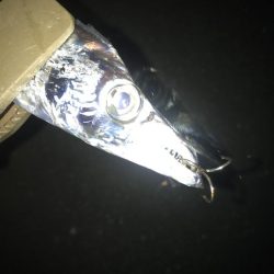 朝マズメのタチウオ 釣り