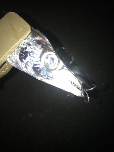 朝マズメのタチウオ 釣り