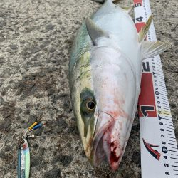 渋いながらも取れました